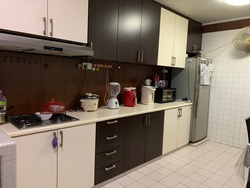 Blk 245 Bukit Batok East Avenue 5 (Bukit Batok), HDB 3 Rooms #228454041